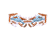 2nyt: The APOBEC2 Crystal Structure and Functional Implications for AID