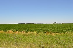 Fields west of Beaverville