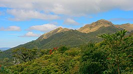 Mount Pulag