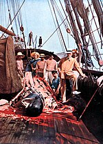 The crew of the oceanographic research vessel "Princesse Alice," of Albert Grimaldi (later Prince Albert I of Monaco) pose while flensing a catch.