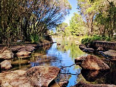 Lakeside view at Broadway park