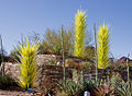 Chihuly-objekter i Phoenix Botanical Garden i Arizona, USA. Foto: John Fowler