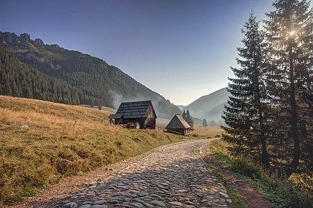 Dolina Chochołowska o świcie Autor: Aneta Pawska