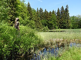 Frau-Holle-Teich