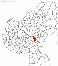 Location in Mureș County