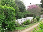 Menhir Mane er Hroech, Locmariaquer (Morbihan)