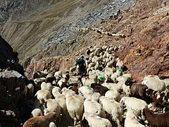 Abstieg vom Hochjoch