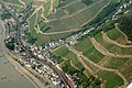 Aerial view of Assmannshausen