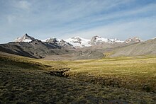 A green-yellow vegetation bed covers the bottom of a valley in a flat but desertish landscape below a snow-covered ridge