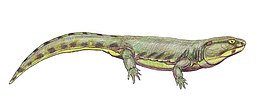 Karpinskiosaurus