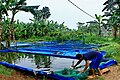 Kolam Terpal Pendederan