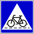 Cycle crossing