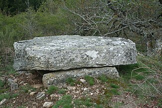 Dolmen du Devès de Félines