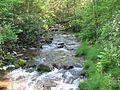 White Deer Hole Creek in Washington Township