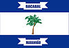Flag of Bacabal