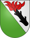 Wappen von Belpberg