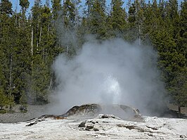 Bijou Geyser