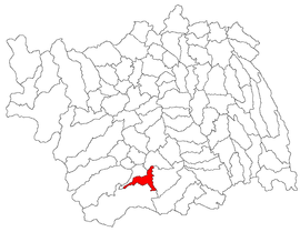 Location in Bacău County