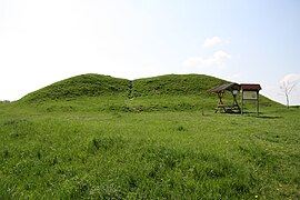 Fürstengrab von Leubingen