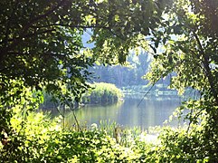 Der Große See, einer von insgesamt drei Gewässern im Krater