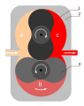 Rotary piston pump