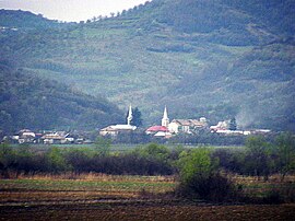 View of Braniștea village
