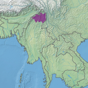 Ecoregion territory (in purple)