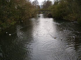 (Gestaute) Seckach in Möckmühl