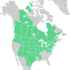 Symphyotrichum ericoides distribution map