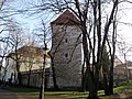 Κάστρο της Βιελίτσκα