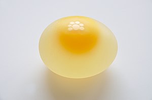 Yumurta (besin)