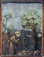 Το κήρυγμα στα πουλιά, νωπογραφία, 1295-1299, Ασσίζη, Άνω Βασιλική