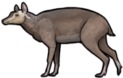 Hypisodus minimus