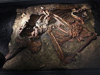 Das Neandetaler-Skelett Kebara 2 (Replikat)