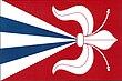 Vlag