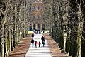 Allee zum Schloss Favorite