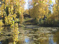 Nordre pond at Maihaugen