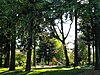 Oregon Park's playground, seen through the trees in late afternoon