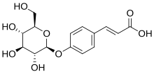 Skeletal formula of p-coumaric acid glucoside