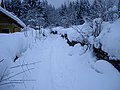 Römerweg mit Klaubsteinmauer (Trockensteinmauer) im Winter