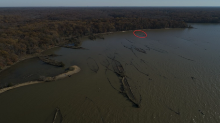 A bay containing several shipwrecks looking like small plant-covered islands