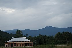 Terminal Bandar Udara Werur, Bikar