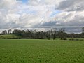 The Thorntoun woodlands from near Kirkland farm, Springside.