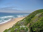 Het strand van Wildernis