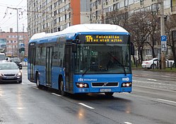 174-es busz a Füredi utcában