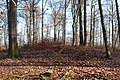 Prähistorisches Hügelgrab auf dem Höhenrücken Beurenkern bei Treis-Karden