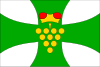 Flag of Domanín