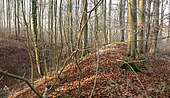 Blick vom inneren Wall auf den Burggraben