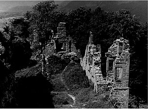 Blick von der Schildmauer in Richtung Palas (1970er Jahre)