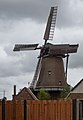 Oudeschild, windmill: korenmolen de Traanroeier
